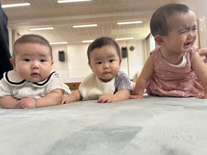 赤ちゃんの写真